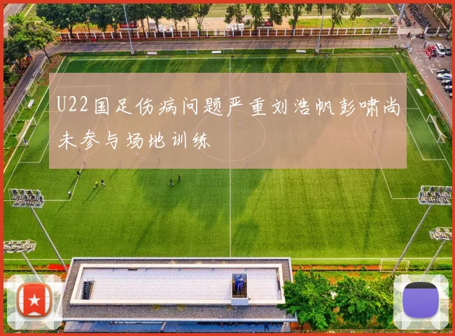 U22国足伤病问题严重刘浩帆彭啸尚未参与场地训练