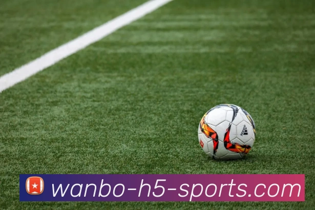 万博体育APP 高清赛事图