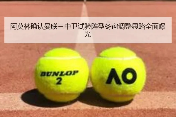阿莫林确认曼联三中卫试验阵型冬窗调整思路全面曝光